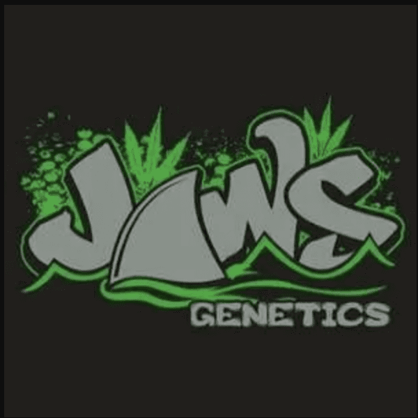 Dank Gorg F1 (Dank-o-Bud x Ugorg #1) 12 Regular Seeds