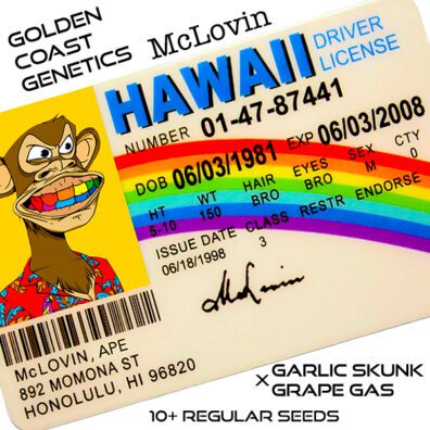 McLovin F1 (Garlic Skunk x Grape Gas) 10 Regular Seeds