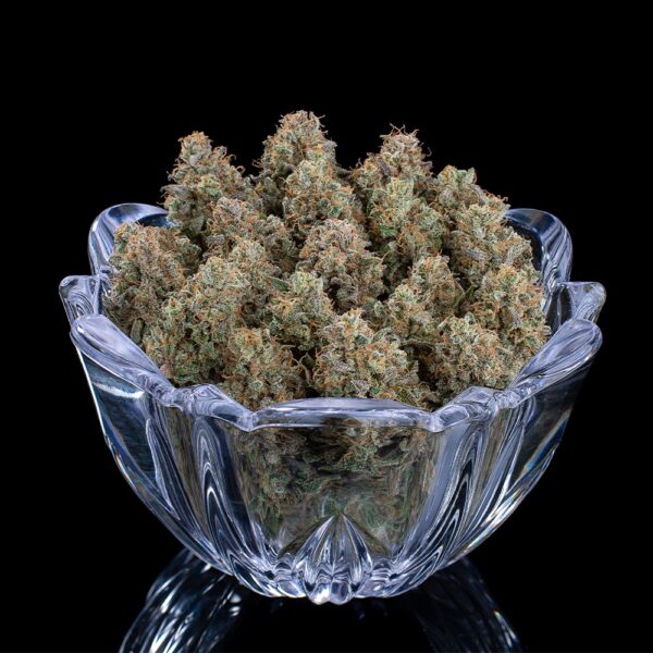 Ocifer (Cap Junky x Rosetta Stone) 9 Feminized Seeds - Image 5