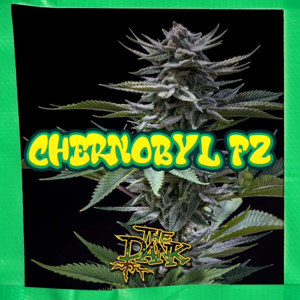 Chernobyl F2 5 Feminized Seeds