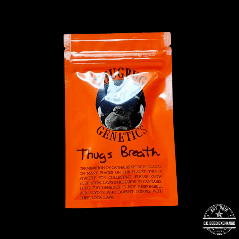 Thug Pug Genetics Thugs Breath (Thug Pug OG x Mendobreath F2) 10 ...