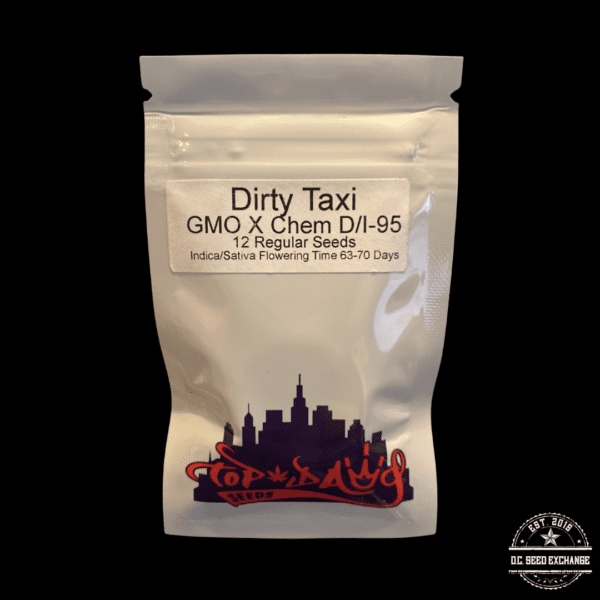 Top Dawg Seeds Dirty Taxi 12 Regular Seeds