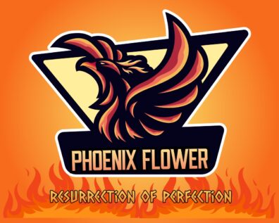 Phoenix Flower