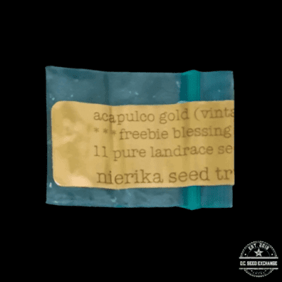 Nierika Seed Trust Acapulco Gold 11 Regular Seeds