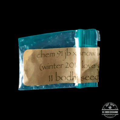 Bodhi Seeds Chem 91 JB x Snow Lotus 11 Regular Seeds
