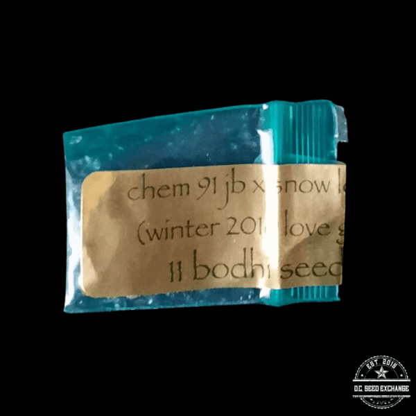 Bodhi Seeds Chem 91 JB x Snow Lotus 11 Regular Seeds