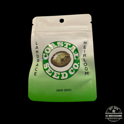 Coastal Seed Co War Bird (Romulan x Colombian) 10 Regular Seeds