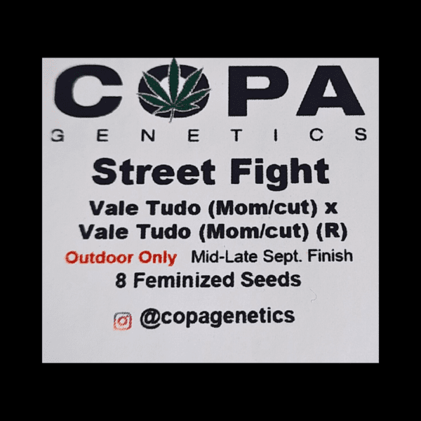 Street Fight (Vale Tudo x Vale Tudo) 8 Feminized Seeds