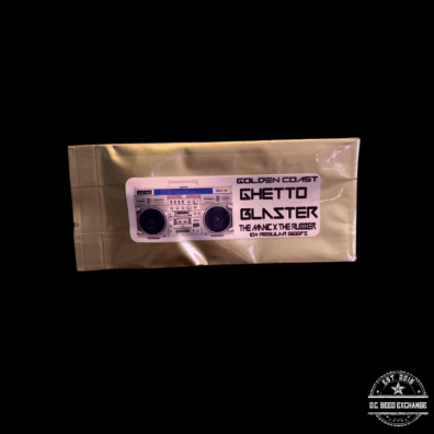 Golden Coast Genetics Ghetto Blaster (The Manic x The Rubber) 10 Regular Seeds