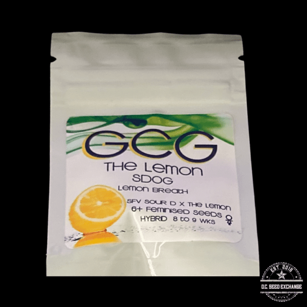 Golden Coast Genetics The Lemon SDOG Lemon Breath (SFV Sour D x The Lemon) 6 Feminized Seeds