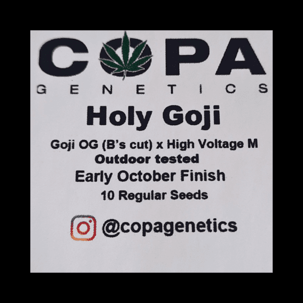 Holy Goji F1 (Goji OG × High Voltage) 10 Regular Seeds