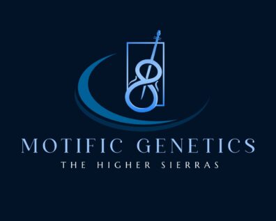 Motific Genetics