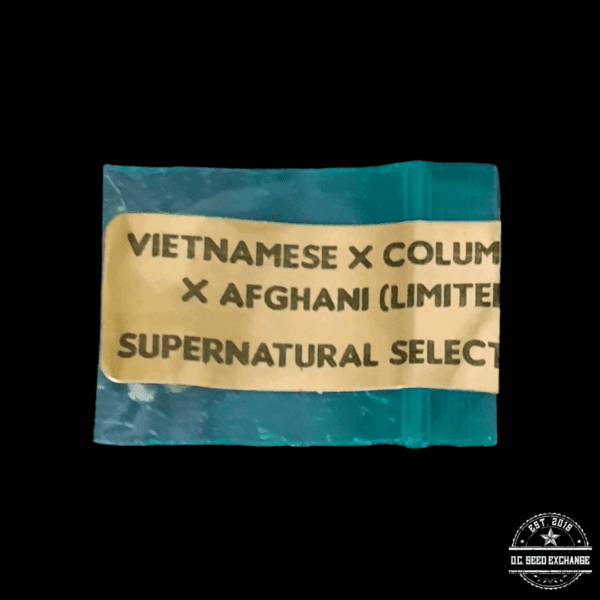 Supernatural Selections Vietnamese x Columbian x Afghani 11 Regular Seeds