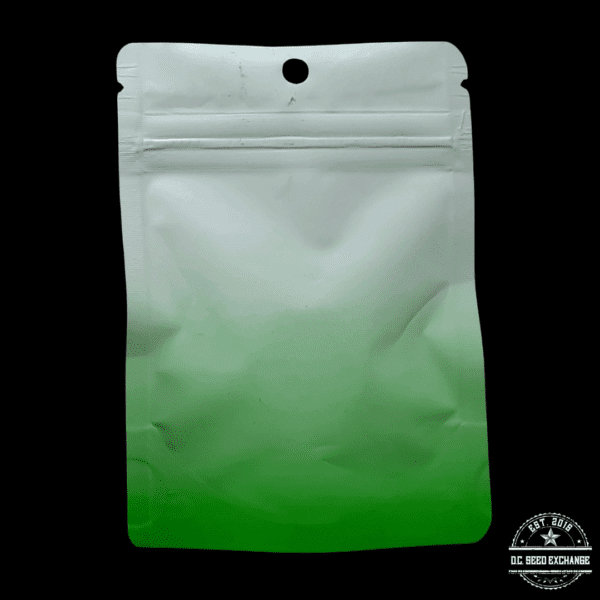 Coastal Seed Co UK Cheese x Northern Lights #1 10 Regular Seeds - Image 2