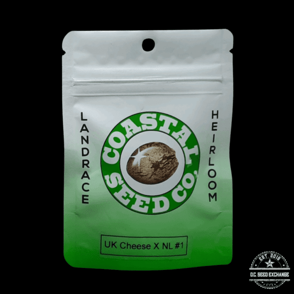 Coastal Seed Co UK Cheese x Northern Lights #1 10 Regular Seeds