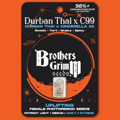 Durban Thai x Cinderella 99 3 Feminized Seeds