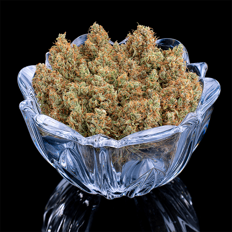 Durban Thai x Cinderella 99 3 Feminized Seeds - Image 4