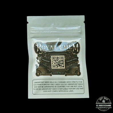 Greenpoint Seeds Royal Chem F1 (Purple Punch x Stardawg) 10 Regular Seeds