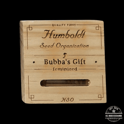 Humboldt Seed Organization Bubba's Gift (Bubba Kush x God's Gift) 5 Feminized Seeds