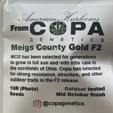 Meigs County Gold F2 10 Regular Seeds