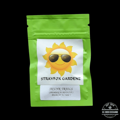 Strayfox Skunk Trails (Chemdog 91 x Polecat 91/MAC 7) 11 Regular Seeds