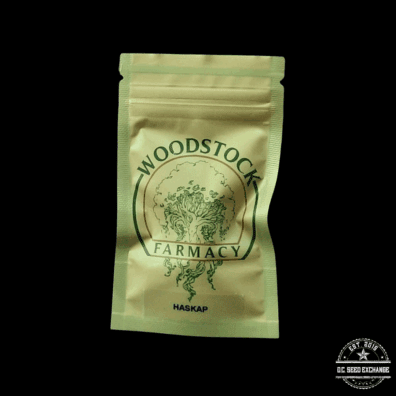 Woodstock Farmacy HASKAP F1 (Grape Pie x Sundae Brunch) 10 Regular Seeds