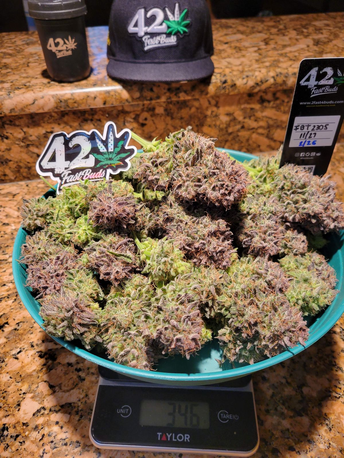 Ztrawberriez Auto 3 Feminized Autoflower Seeds - Image 7
