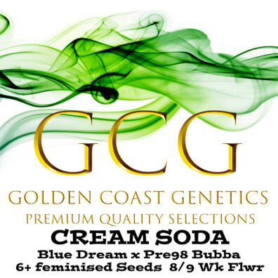 Cream Soda F1 (Blue Dream x Pre 98 Bubba Kush) 6 Feminized Seeds