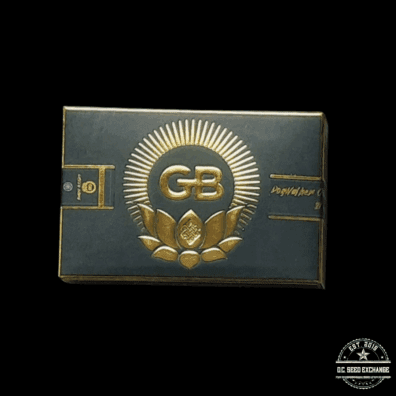 Green Bodhi Dogwalker OG x Ancient OG 10 Regular Seeds