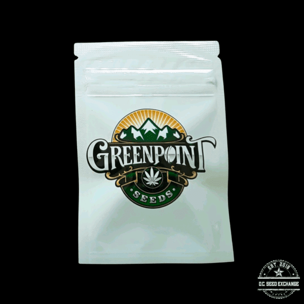 Greenpoint Seeds Chem Daiquiri F1 (Orange Daiquiri x Stardawg) 10 Regular Seeds - Image 3
