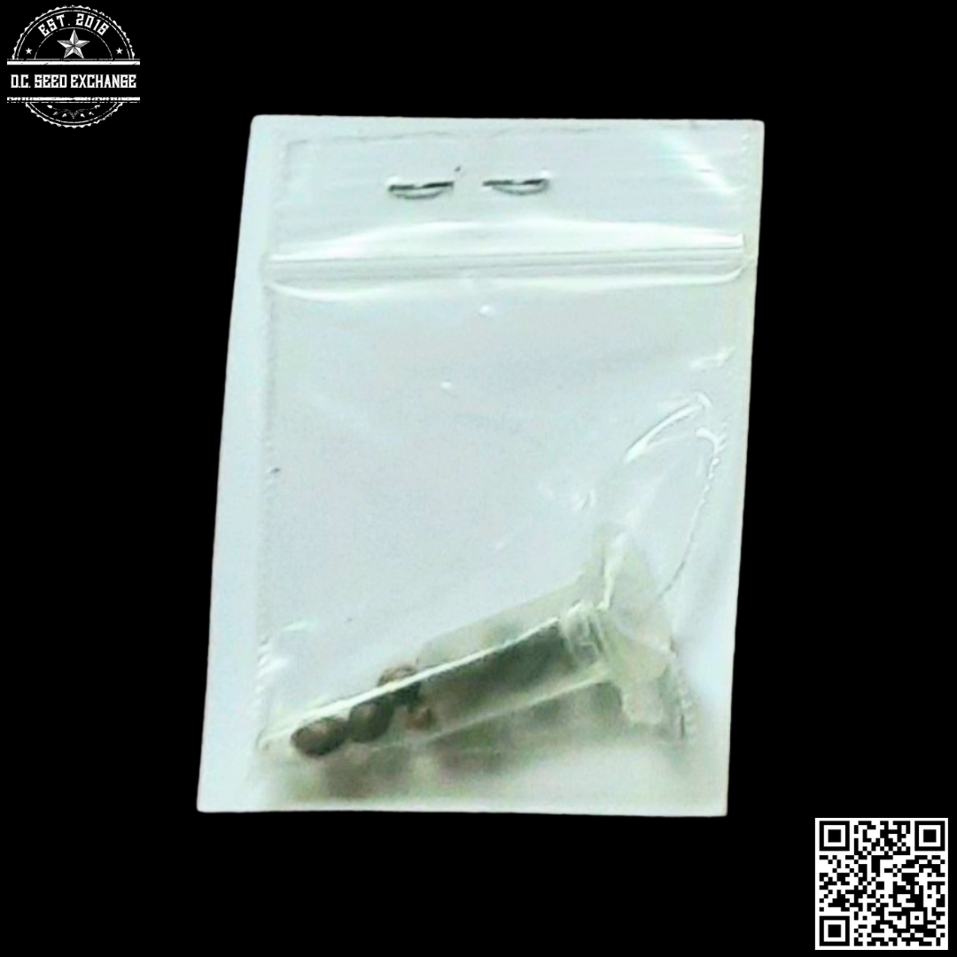 Hazeman Seeds Durban Poison F2 12 Regular Seeds - Image 2