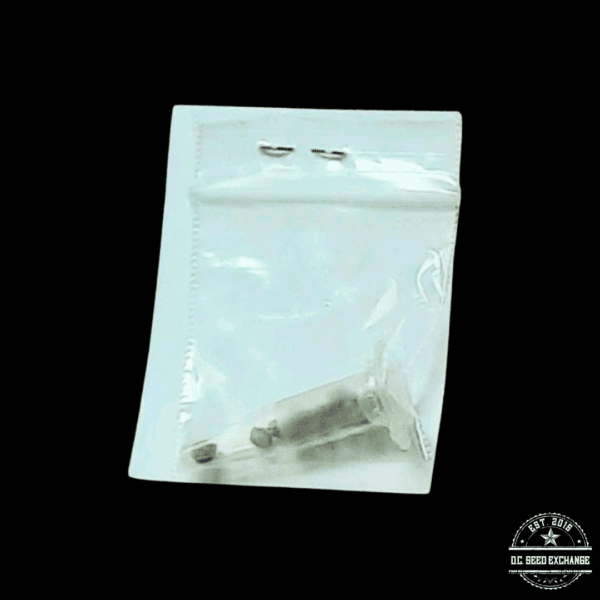 Hazeman Seeds Green Crack x Pine Tar Kush 10 Regular Seeds - Image 2