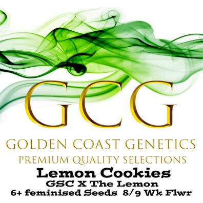 Lemon Cookies F1 (Forum GSC x The Lemon) 6 Feminized Seeds