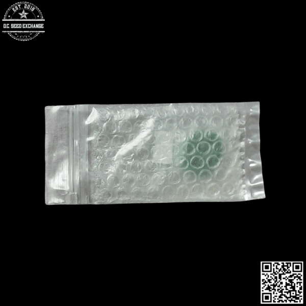 Green Team Genetics Milk Bone F3 Testers 10 Regular Seeds - Image 2