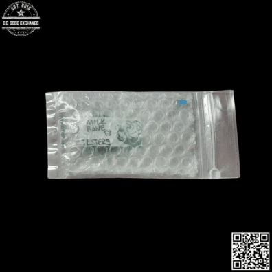 Green Team Genetics Milk Bone F3 Testers 10 Regular Seeds