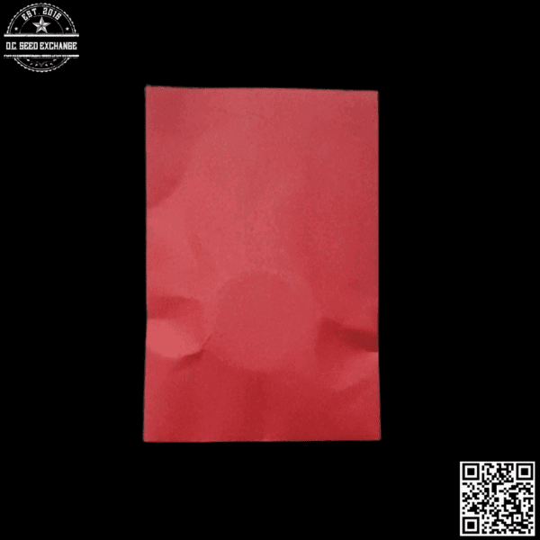 Red Scare Seed Company Black Bandana F1 (Loompa's Headband x Agha Black) 10 Regular Seeds - Image 2