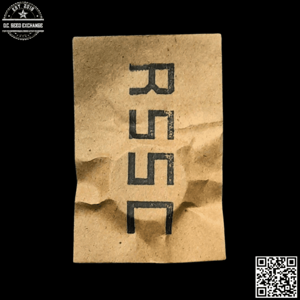 Red Scare Seed Company Blowback F1 (GMO Fuel f4 x Uzbekistani) 10 Regular Seeds - Image 2
