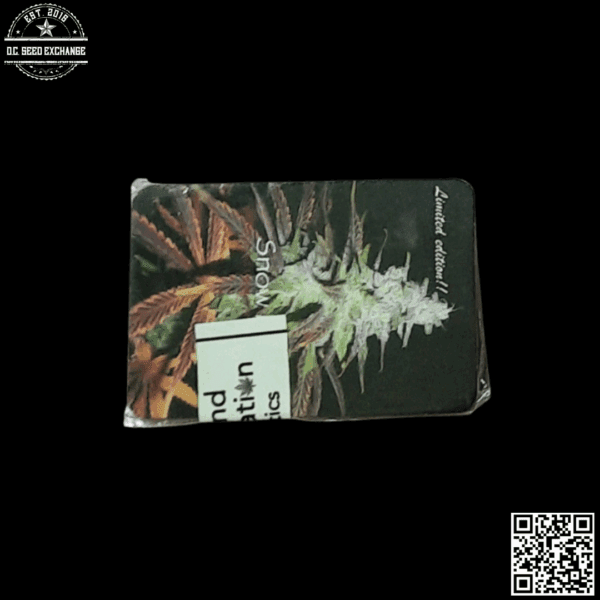 Second Generation Genetics Snow Melt F1 (Rainbow Sherbet x Blueberry F4) 11 Regular Seeds - Image 2