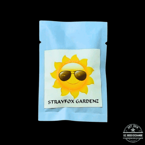Strayfox Gardenz Rollin 88 (Tranquil Elephantizer Remix x Snowqueen) 10 Regular Seeds - Image 3