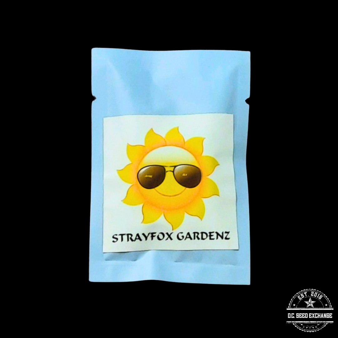 Strayfox Gardenz Rollin 88 (Tranquil Elephantizer Remix x Snowqueen) 10 Regular Seeds - Image 3