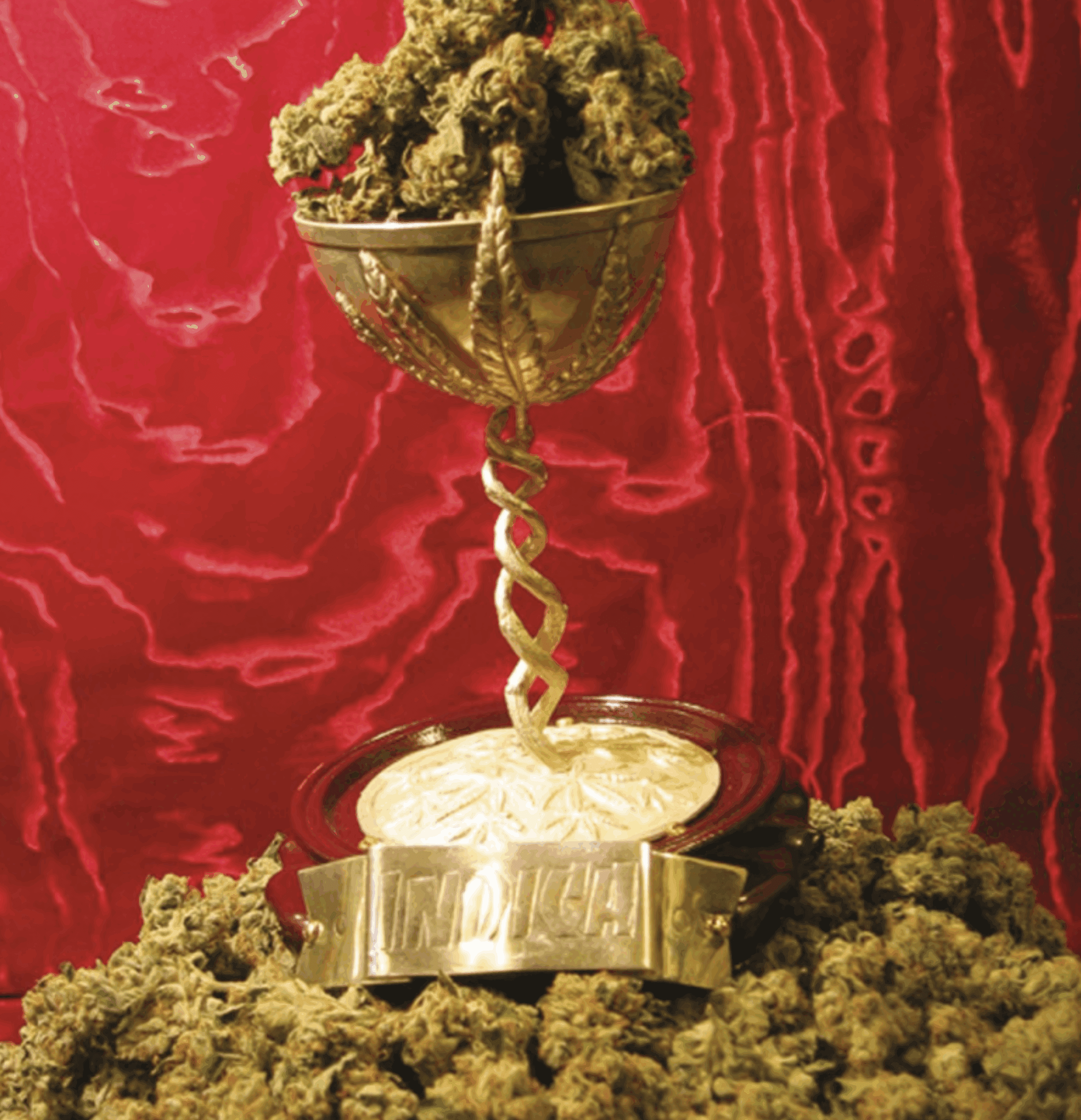 T.H. Seeds MK Ultra (OG Kush x G-13) 5 Feminized Seeds - Image 2