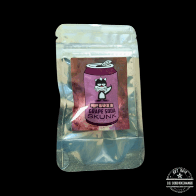 TRH Seeds Grape Soda Skunk x Black Lime Reserve 12 Regular Seeds