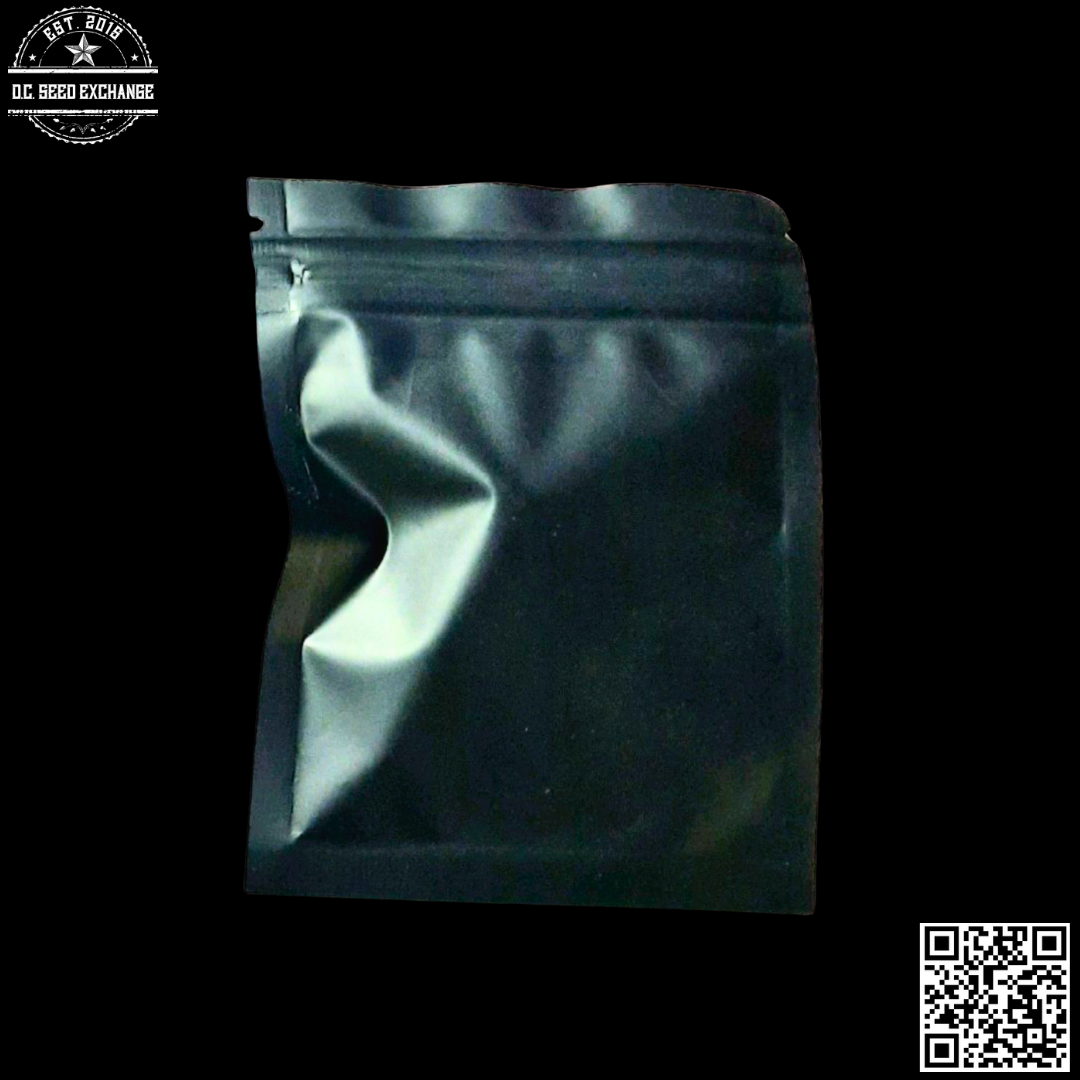 The Captain's Connection Wizard Express F1 (Pineapple Express x Blissful Wizard) 10 Regular Seeds - Image 2