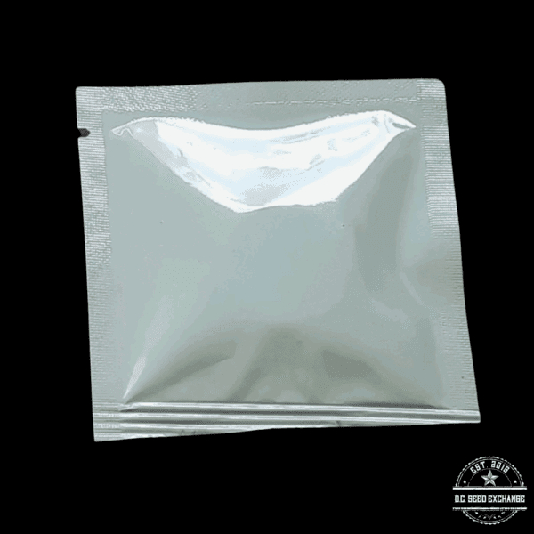 The Captain's Connection Wizard Snot F1 (Blissful Wizard x Sour Diesel) 10 Regular Seeds - Image 3