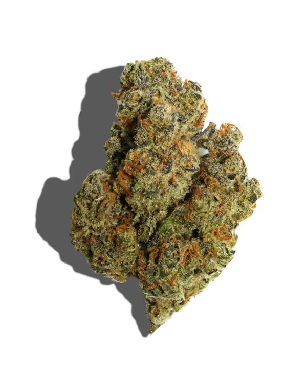 The Captain's Connection Wizard Snot F1 (Blissful Wizard x Sour Diesel) 10 Regular Seeds - Image 2