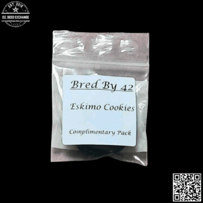 Bred by 42 Eskimo Cookies F1 (Best Sh*t Ever x Abominable Cookie Monster) 10 Regular Seeds