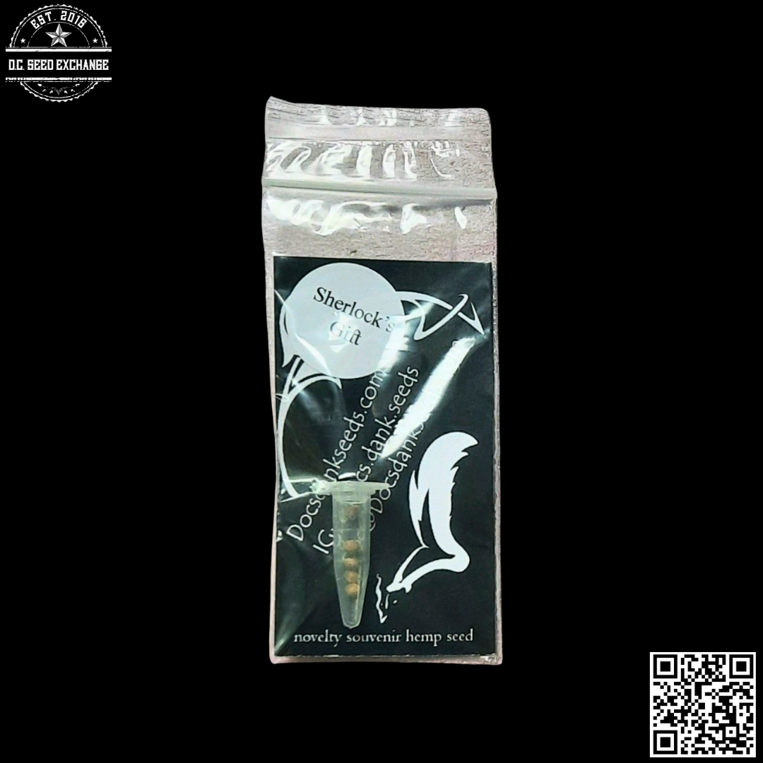 Docs Dank Seeds Sherlock's Gift (Frank's Gift x Professor Moriarty) 5 Regular Seeds