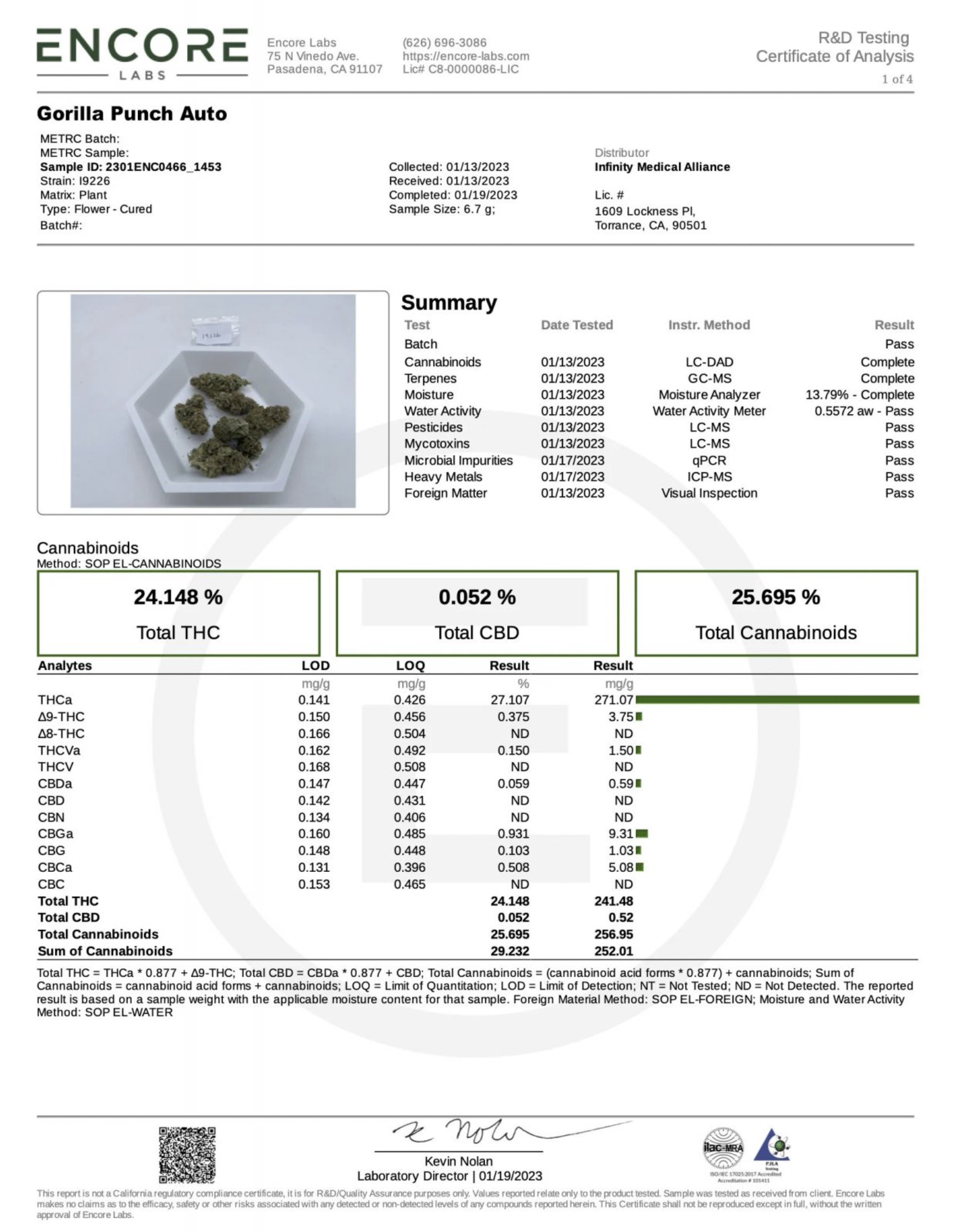 Gorilla Punch Auto 3 Feminized Autoflower Seeds - Image 9