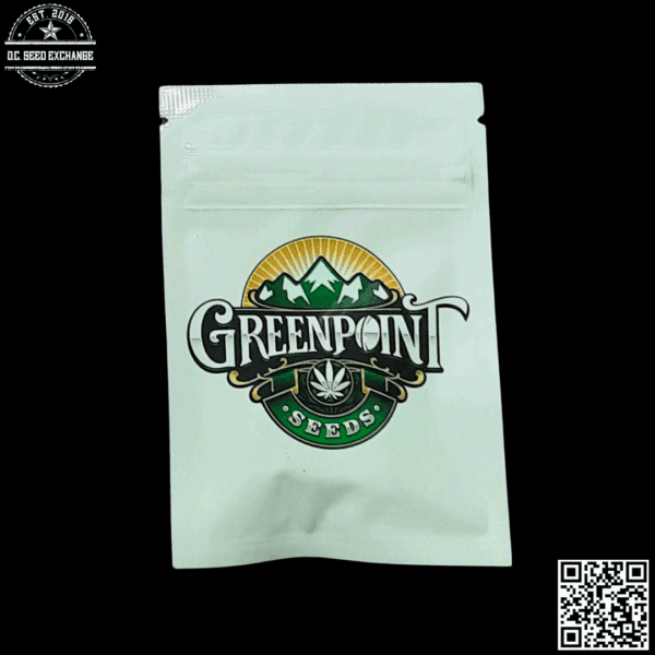 Greenpoint Seeds Sky Master (Alien OG x Stardawg) 10 Regular Seeds - Image 3