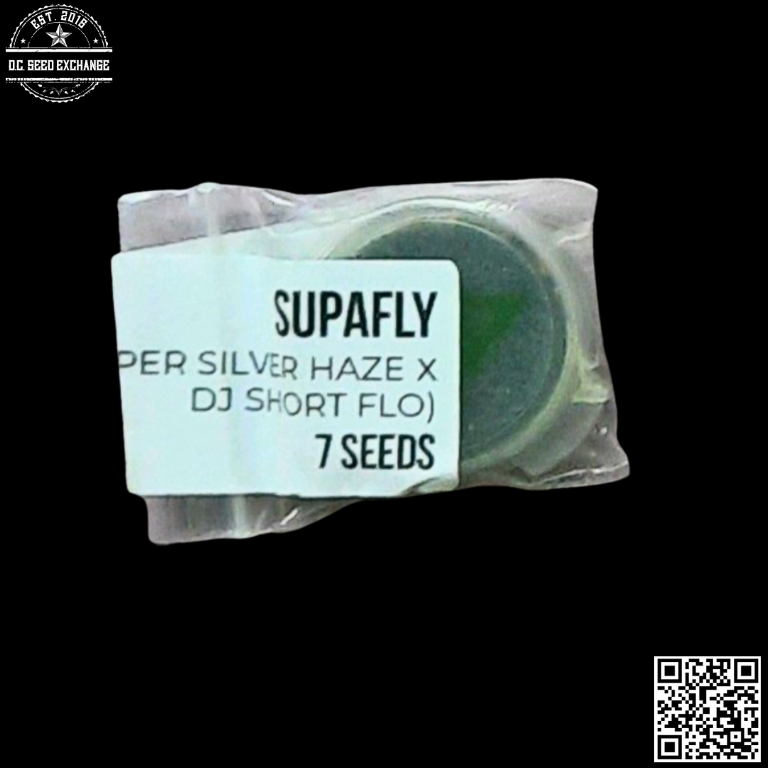 Greenwork Collective Supafly (Super Silver Haze x F5 Flo) 7 Regular Seeds